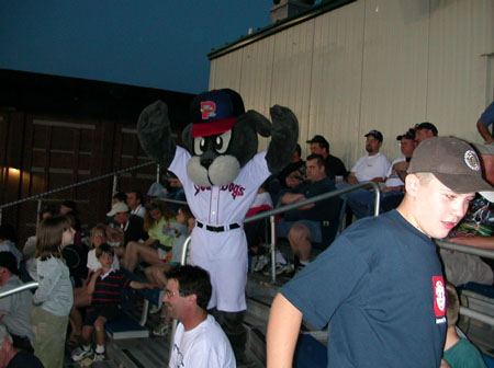15slugger